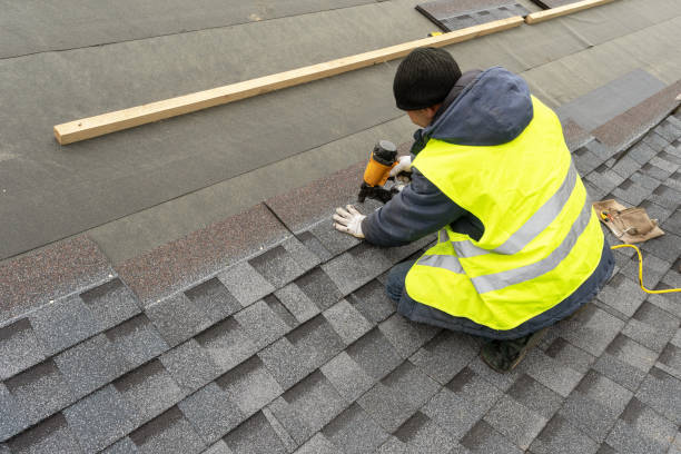 Best Roof Gutter Cleaning  in Bethlehem, WV